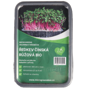 Ředkvička čínská růžová BIO